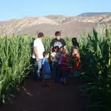 Sigurd Maze photo
