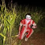 Sigurd Maze photo