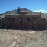 Sigurd Maze photo