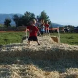 Sigurd Maze photo