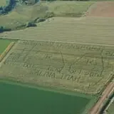 Sigurd Maze photo