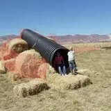 Sigurd Maze photo