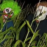 Sigurd Maze photo