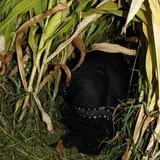 Sigurd Maze photo