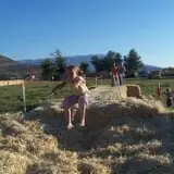 Sigurd Maze photo