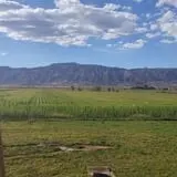 Sigurd Maze photo