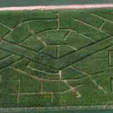 Sigurd Maze photo