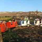 Sigurd Maze photo