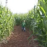 Sigurd Maze photo