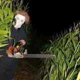 Sigurd Maze photo