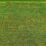 Sigurd Maze photo