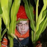 Sigurd Maze photo