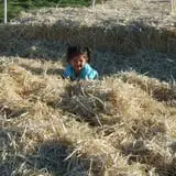 Sigurd Maze photo