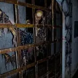 Field of Screams photo