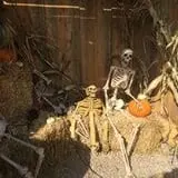 Field of Screams photo