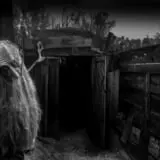 Field of Screams photo