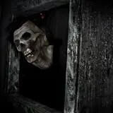 Field of Screams photo