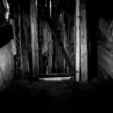 Field of Screams photo