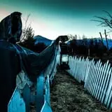 Field of Screams photo