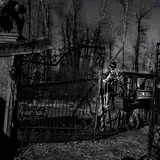Field of Screams photo