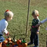 Whitaker Farms photo