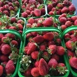 Whitaker Farms photo