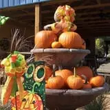 Whitaker Farms photo