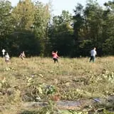 Whitaker Farms photo