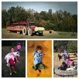 Whitaker Farms photo