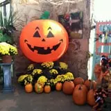 Whitaker Farms photo