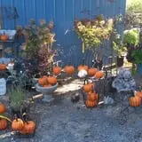 Whitaker Farms photo