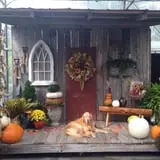 Whitaker Farms photo
