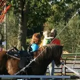 Whitaker Farms photo