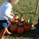 Whitaker Farms photo