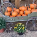 Whitaker Farms photo
