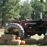 Whitaker Farms photo