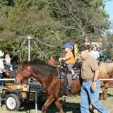 Whitaker Farms photo