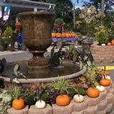 Whitaker Farms photo