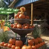 Whitaker Farms photo