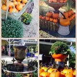 Whitaker Farms photo