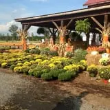 Whitaker Farms photo