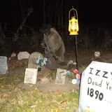 Halloween at Schumacher Farm photo