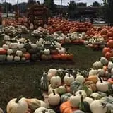 The Cooper Trooper Foundation Pumpkin Patch photo