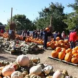 The Cooper Trooper Foundation Pumpkin Patch photo