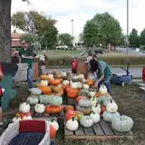 The Cooper Trooper Foundation Pumpkin Patch photo