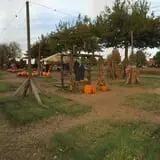 The Cooper Trooper Foundation Pumpkin Patch photo