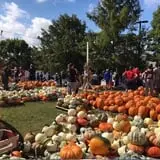 The Cooper Trooper Foundation Pumpkin Patch photo