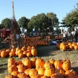 The Cooper Trooper Foundation Pumpkin Patch photo