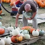 The Cooper Trooper Foundation Pumpkin Patch photo