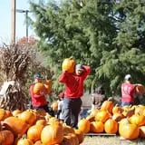 The Cooper Trooper Foundation Pumpkin Patch photo